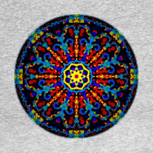 Rosette Window Stained Glass Mandala by Bits